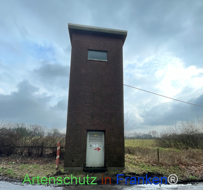 Bild zum Eintrag (1151056-160)