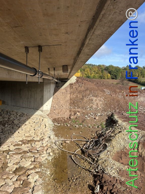 Bild zum Eintrag (1151070-160)