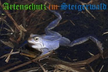 Copyright AiS / Wolfgang Willner Bild zum Eintrag (23916-160)