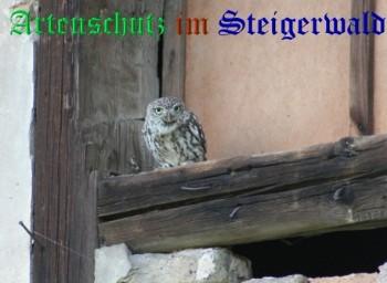 Copyright AiS / König Bild zum Eintrag (24115-160)