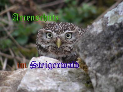Copyright AiS / Eckard Kartheuser Bild zum Eintrag (24122-160)