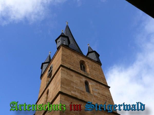 Copyright AiS / 2010 Weidner Bild zum Eintrag (24157-160)
