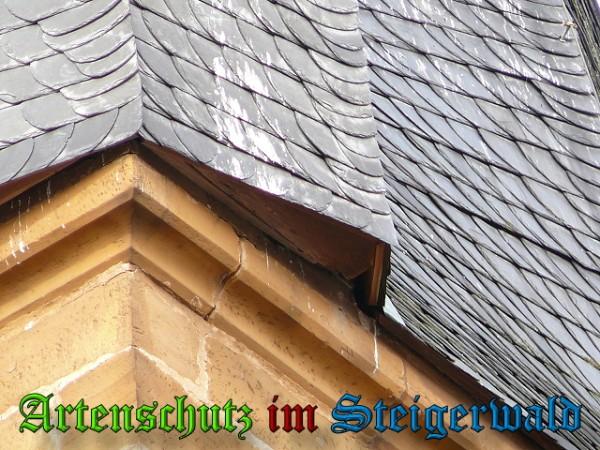 Copyright AiS / 2010 Weidner Bild zum Eintrag (24158-160)
