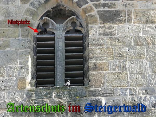 Bild zum Eintrag (24179-160)
