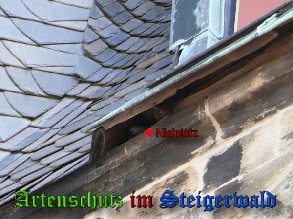 Bild zum Eintrag (24180-160)