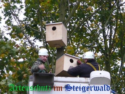 Bild zum Eintrag (24199-160)