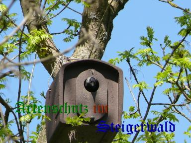 Copyright AiS / Köhler Bild zum Eintrag (24215-160)