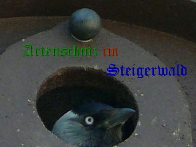 Copyright AiS / Köhler Bild zum Eintrag (24216-160)