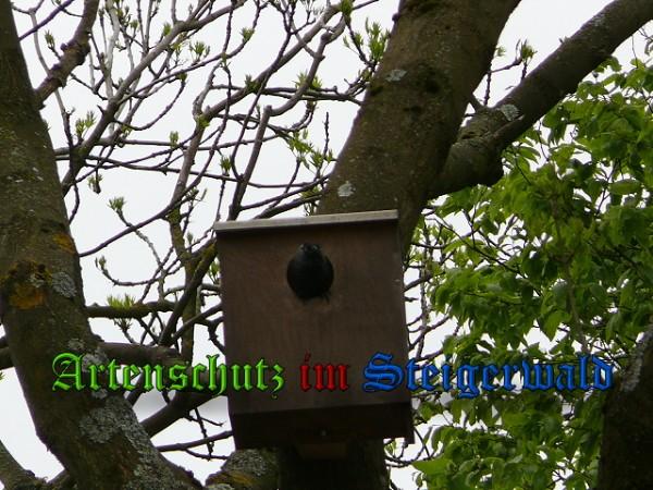 Copyright AiS / 2010 Weidner Bild zum Eintrag (24228-160)