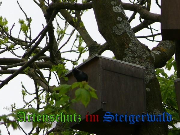 Copyright AiS / 2010 Weidner Bild zum Eintrag (24229-160)