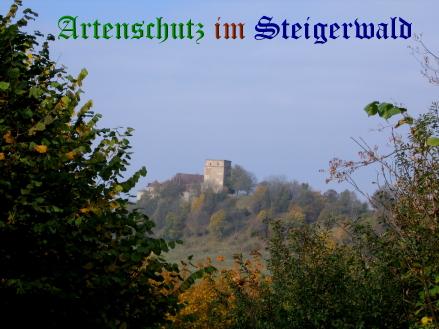 Copyright AiS / 2010 Weidner Bild zum Eintrag (24231-160)