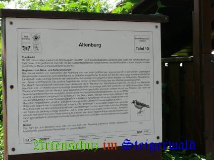 Copyright AiS / 2008 M. Köhler Bild zum Eintrag (24289-160)