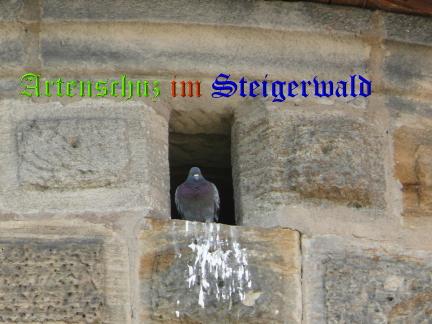 Copyright AiS / 2008 M. Köhler Bild zum Eintrag (24292-160)