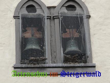 Copyright AiS / M. Köhler Bild zum Eintrag (24295-160)
