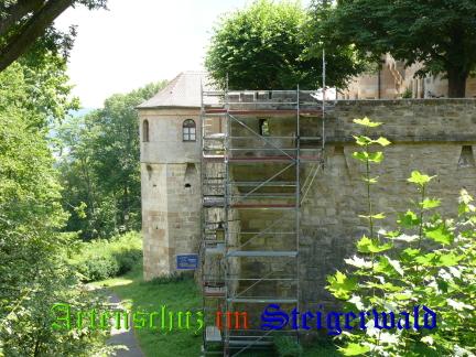 Copyright AiS / M. Köhler Bild zum Eintrag (24297-160)