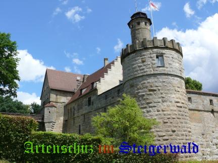 Copyright AiS / M. Köhler Bild zum Eintrag (24298-160)