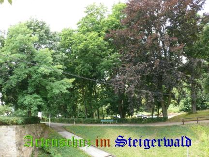 Copyright AiS / 2008 M. Köhler Bild zum Eintrag (24305-160)