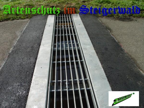 Copyright AiS / 2009 - Zieger Bild zum Eintrag (24338-160)