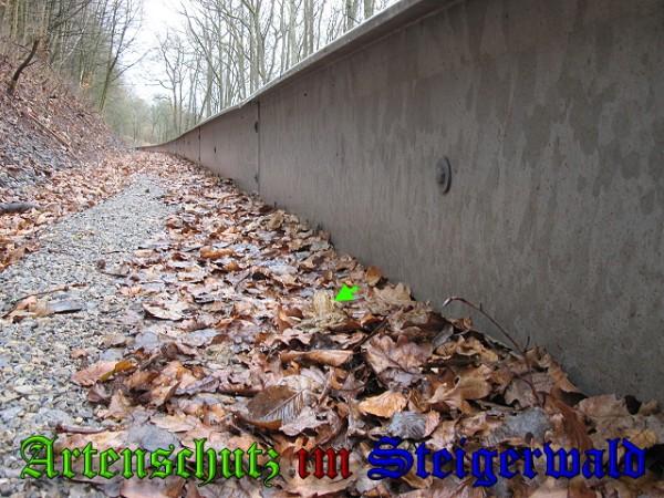 Copyright AiS / 2010 - Köhler Bild zum Eintrag (24348-160)