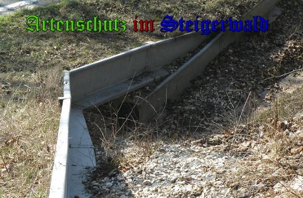 Copyright AiS / 2010 - Albert Meier Bild zum Eintrag (24365-160)
