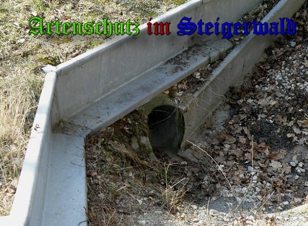 Copyright AiS / 2010 - Albert Meier Bild zum Eintrag (24366-160)