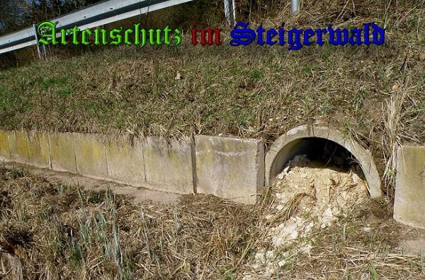 Copyright AiS / 2010 - Albert Meier Bild zum Eintrag (24367-160)