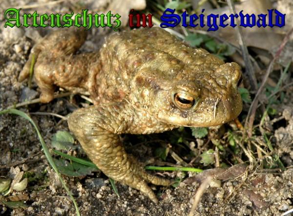 Copyright AiS / 2010 - Albert Meier Bild zum Eintrag (24369-160)