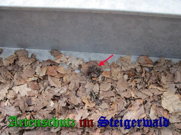 Copyright AiS / Brunner Bild zum Eintrag (24378-160)