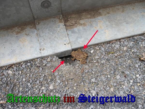 Copyright AiS / Brunner Bild zum Eintrag (24380-160)