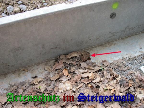 Copyright AiS / Brunner Bild zum Eintrag (24381-160)