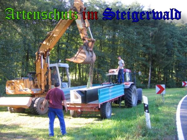 Copyright AiS / 2009 Bild zum Eintrag (24389-160)