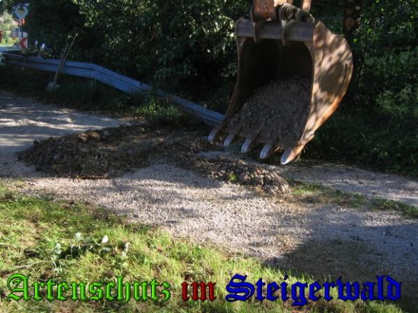 Copyright AiS / 2009 Bild zum Eintrag (24395-160)