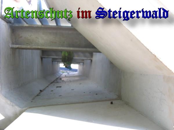 Copyright AiS / 2009 Bild zum Eintrag (24396-160)