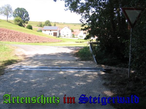 Copyright AiS / 2009 - Weidner Bild zum Eintrag (24405-160)