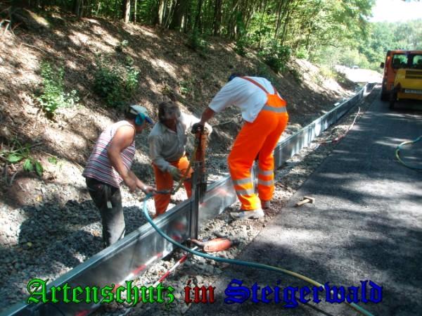 Copyright AiS / 2009 - Pfleiderer Bild zum Eintrag (24409-160)