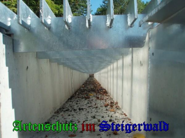 Copyright AiS / 2009 - Pfleiderer Bild zum Eintrag (24414-160)
