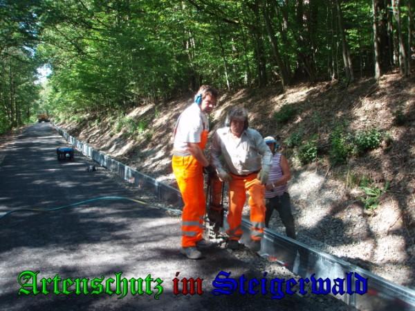Copyright AiS / 2009 - Pfleiderer Bild zum Eintrag (24416-160)
