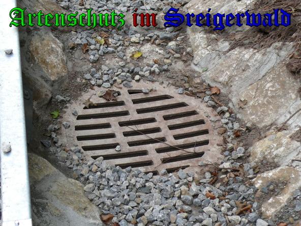 Copyright AiS / 2009 - Köhler Bild zum Eintrag (24425-160)