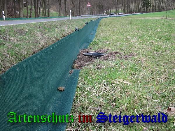 Copyright AiS / 2010 - Brunner Bild zum Eintrag (24430-160)