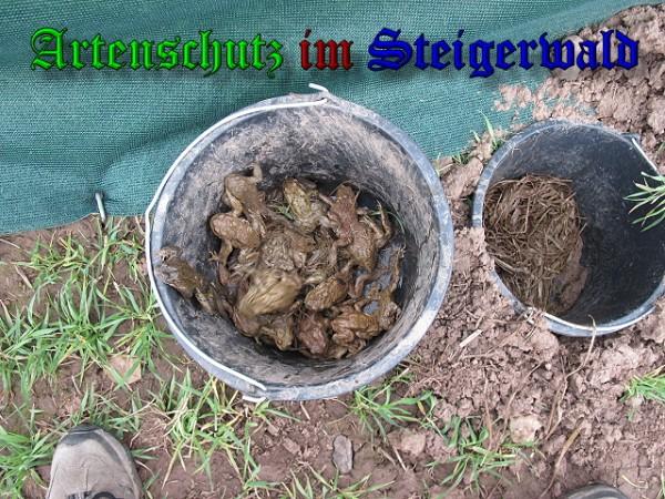 Copyright AiS / 2010 - Köhler Bild zum Eintrag (24431-160)