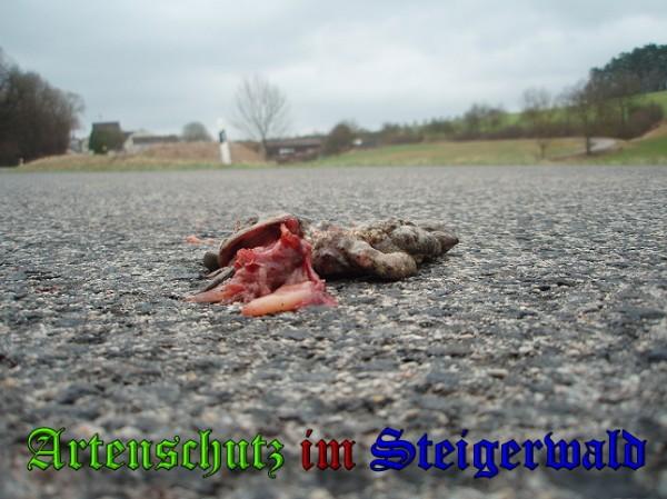 Copyright AiS / 2010 - BM / MC Bild zum Eintrag (24433-160)