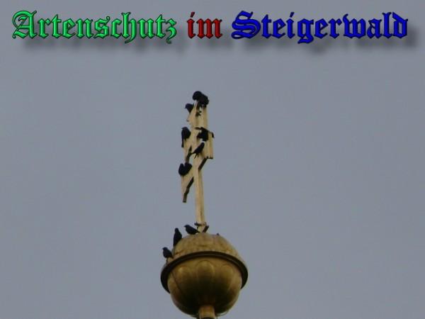 Copyright AiS / 2009 Weidner Bild zum Eintrag (24457-160)