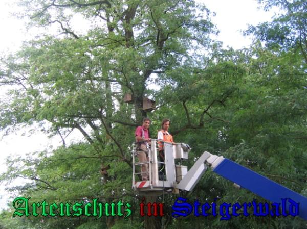 Copyright AiS / 2009 Bild zum Eintrag (24463-160)