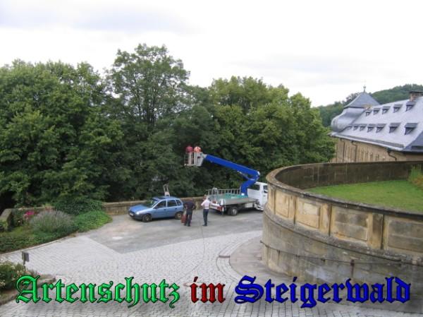 Copyright AiS / 2009 Bild zum Eintrag (24468-160)