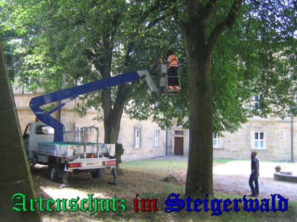 Copyright AiS / 2009 Bild zum Eintrag (24470-160)