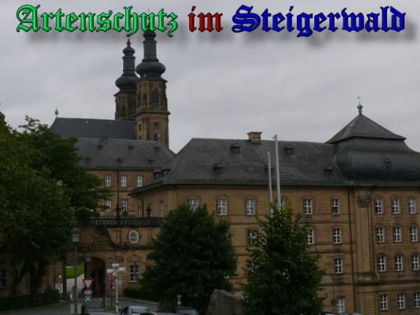 Copyright AiS / 2009 Bild zum Eintrag (24473-160)