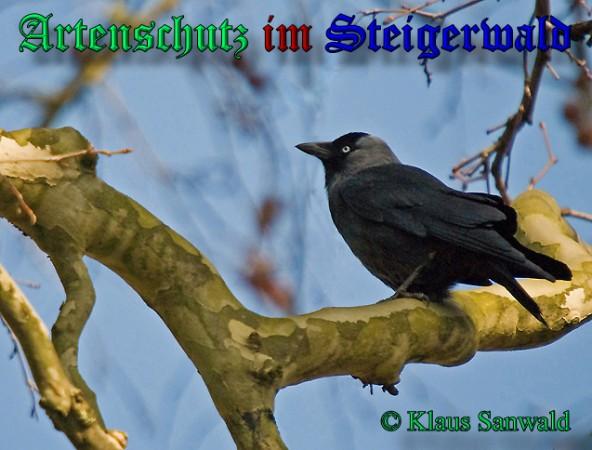 Copyright AiS / 2009 Klaus Sanwald Bild zum Eintrag (24492-160)
