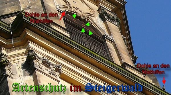 Copyright AiS / 2010 Bild zum Eintrag (24499-160)