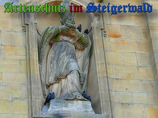 Copyright AiS / 2010 Bild zum Eintrag (24500-160)