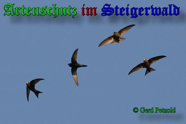Copyright AiS / 2009 Gerd Petzold Bild zum Eintrag (24510-160)